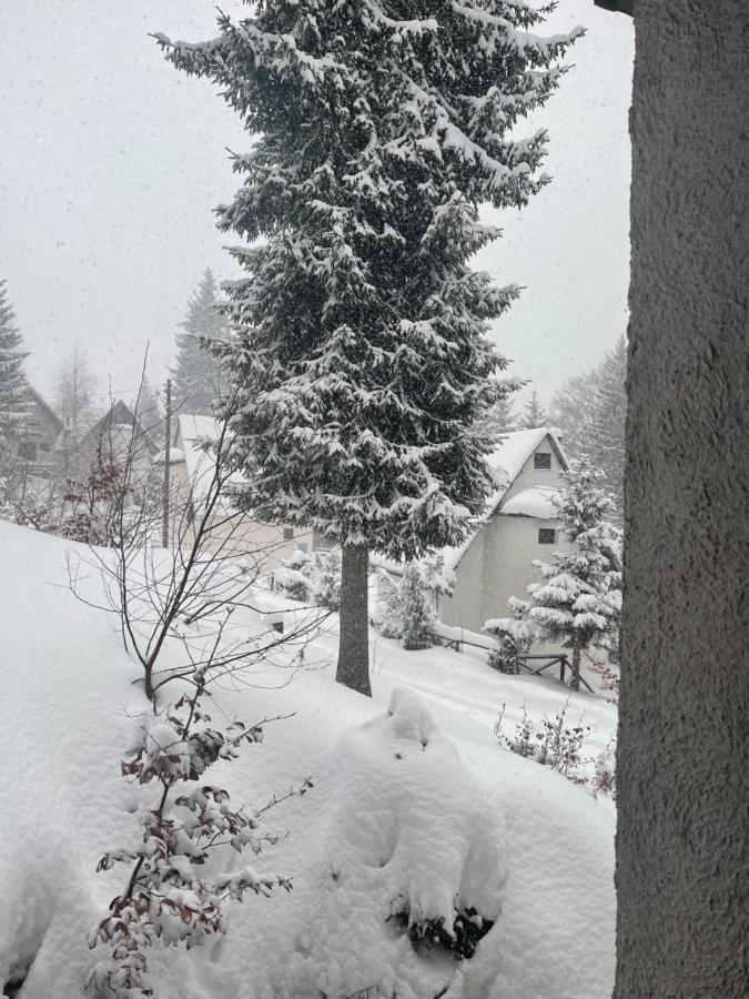 Vila Leni Kopaonik Zewnętrze zdjęcie