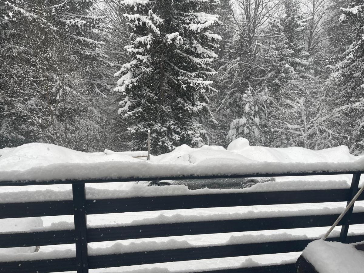 Vila Leni Kopaonik Zewnętrze zdjęcie