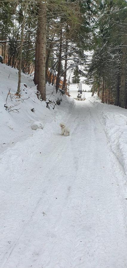 Vila Leni Kopaonik Zewnętrze zdjęcie