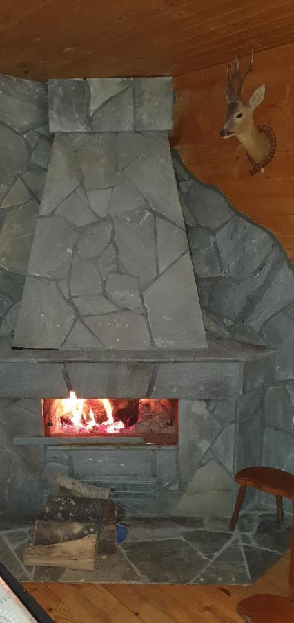 Vila Leni Kopaonik Zewnętrze zdjęcie