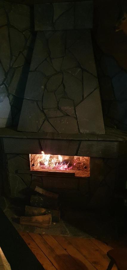Vila Leni Kopaonik Zewnętrze zdjęcie